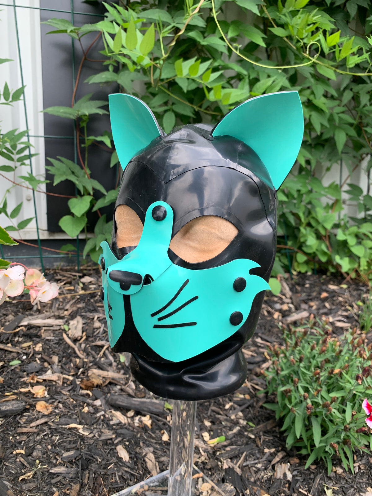 Cat Latex Hood